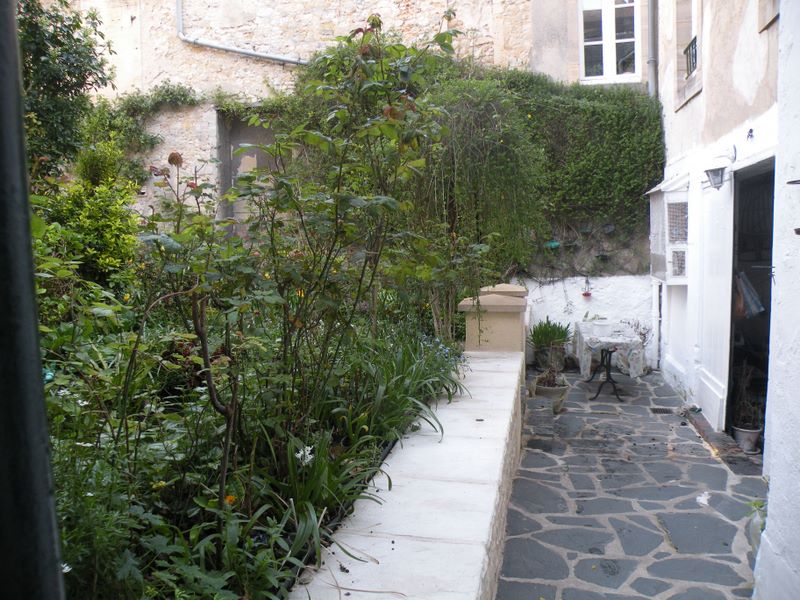cour